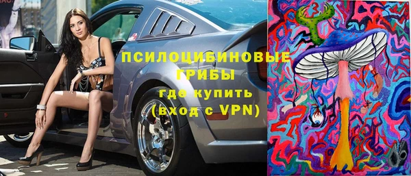 a pvp Белокуриха