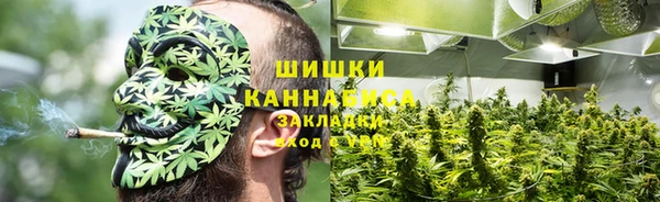 a pvp Белокуриха
