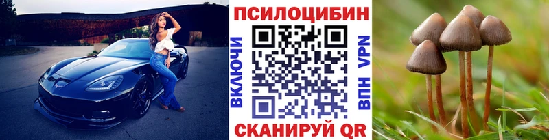 Галлюциногенные грибы мицелий Володарск