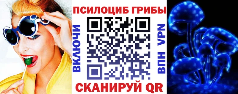 Псилоцибиновые грибы Psilocybine cubensis  Володарск 